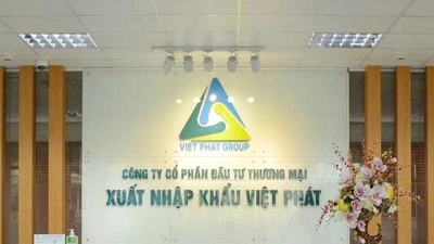 Công bố thông tin sai lệch, Xuất nhập khẩu Việt Phát bị phạt 235 triệu đồng