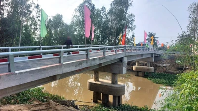 Trúng 8 gói thầu liên tiếp, Ngọc Vịnh có năng lực ra sao?