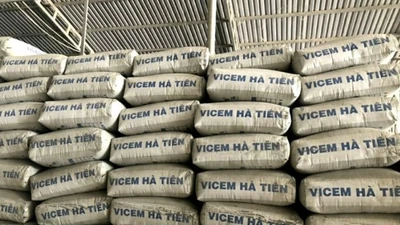 Vicem Hà Tiên lãi quý 2 vượt trăm tỷ sau 3 năm kinh doanh bết bát 