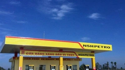 Hơn 126 triệu cổ phiếu PSH sẽ bị hủy niêm yết từ ngày 25/6