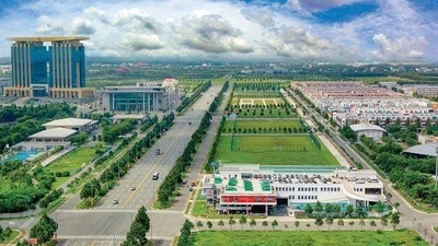 Becamex IDC sắp phát hành 114 triệu cổ phiếu trả cổ tức 2024 