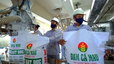 Đạm Cà Mau sắp chi 1.059 tỷ đồng trả cổ tức năm 2024