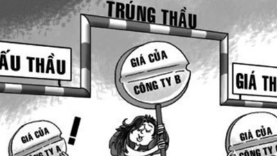 Phú Vĩnh Thành: Mô hình nhà thầu chuyên biệt và thị trường đấu thầu