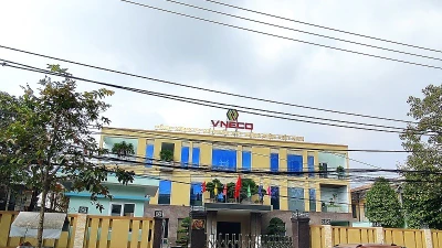 Công bố thông tin sai lệch, VNECO bị phạt 320 triệu đồng 