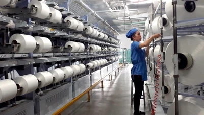Sợi Thế Kỷ báo lỗ quý 3, 6 tháng mới đạt 10% lợi nhuận năm