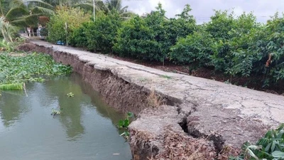 Ngọc Vịnh: Nổi bật với chuỗi thắng thầu trên địa bàn Long An