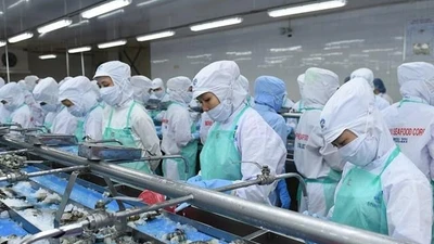 FMC gánh thuế đối ứng gần 27 tỷ, lãi quý 2 vẫn tăng trưởng 21%