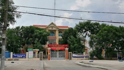 Kỹ thuật T.A: “Ngôi sao thầu” với tỷ lệ tiết kiệm "siêu thấp"