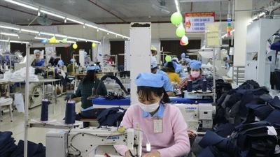“Vua cổ tức” ngành dệt may Phan Thiết nhận án phạt gần 2,8 tỷ đồng