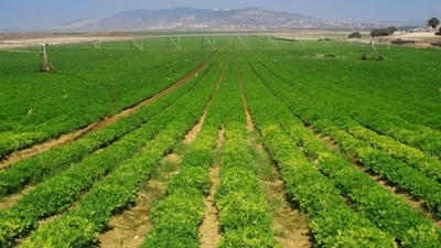 Pan Farm lãi lớn nhưng "ngập" trong nợ vay ngân hàng gấp 4 lần