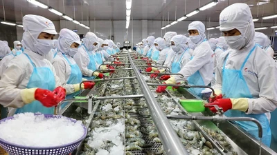 Chưa đầy 1 tháng, Minh Phú lập liền hai công ty con tại Canada và Úc