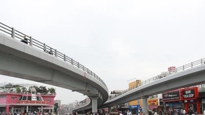 Lật tẩy 'cặp đôi' vừa trúng thầu Gò Vấp: Năng lực thế nào?
