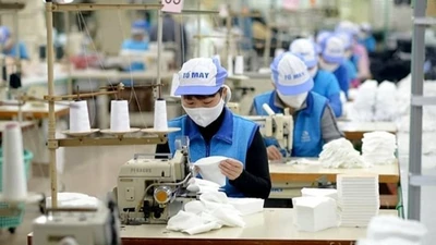 TCM ghi nhận lãi bán niên cao nhất từ trước đến nay