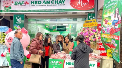 Lợi nhuận BAF vọt thêm 13 tỷ đồng sau soát xét bán niên, vượt 340 tỷ đồng