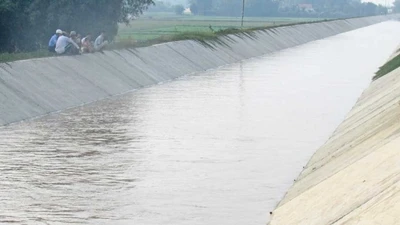 Gói bảo dưỡng đê điều 7 tỷ tại Tây Ninh: Nhà thầu ngoại tỉnh liệu có cơ hội?