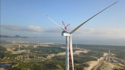 Một cá nhân chi gần 30 tỷ để thành cổ đông lớn tại Trường Thành Group