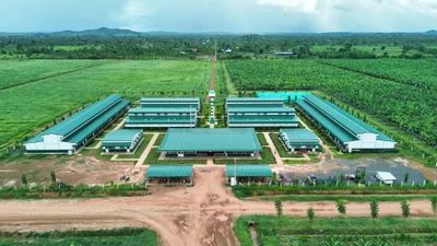 Thaco Agri: Lãi thấp, nợ cao, tổng tài sản vẫn áp đảo với hơn 67.000 tỷ đồng