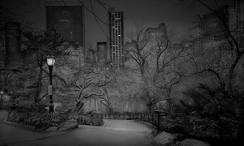 Hình ảnh Central Park âm u không bóng người vào ban đêm