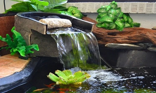 10 chiêu làm mát nhà ngày nóng đổ lửa không tốn kém