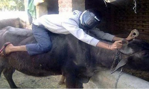 Vui hết nấc với loạt ảnh giao thông độc đáo ở Việt Nam