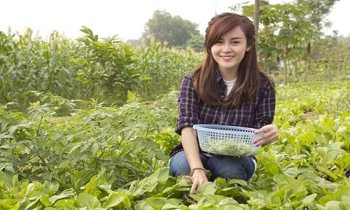 Mướt mắt ngắm vườn rau xanh tươi của sao Việt
