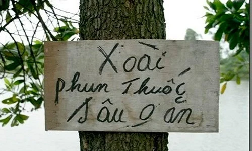 Ngả nghiêng cười khi đọc biển quảng cáo siêu hài trên phố