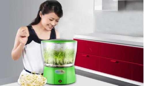 Những hiểu lầm tai hại khi dùng máy trồng rau mầm