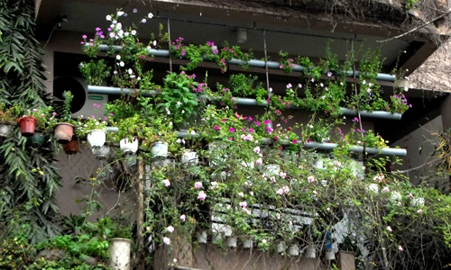 Ngắm vườn treo đẹp mắt ở biệt thự Hồ Tây