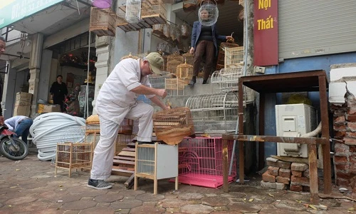 Ảnh: Dân Hà Nội điêu đứng vì nền nhà cao hơn vỉa hè gần 2m