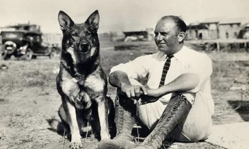 12 chú chó có số phận đặc biệt nhất thế giới