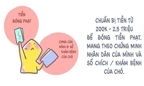 Thanh niên truyền nhau bí kíp để chó cưng không bị "tạm giam"