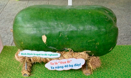 Săn lùng những loại quả độc lạ nhất Việt Nam 2015