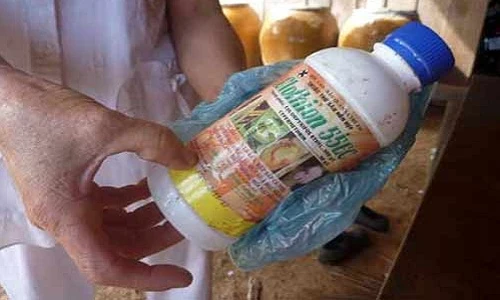 Hàng loạt vụ tự tử bi kịch vì vỡ hụi nhiều tỷ đồng