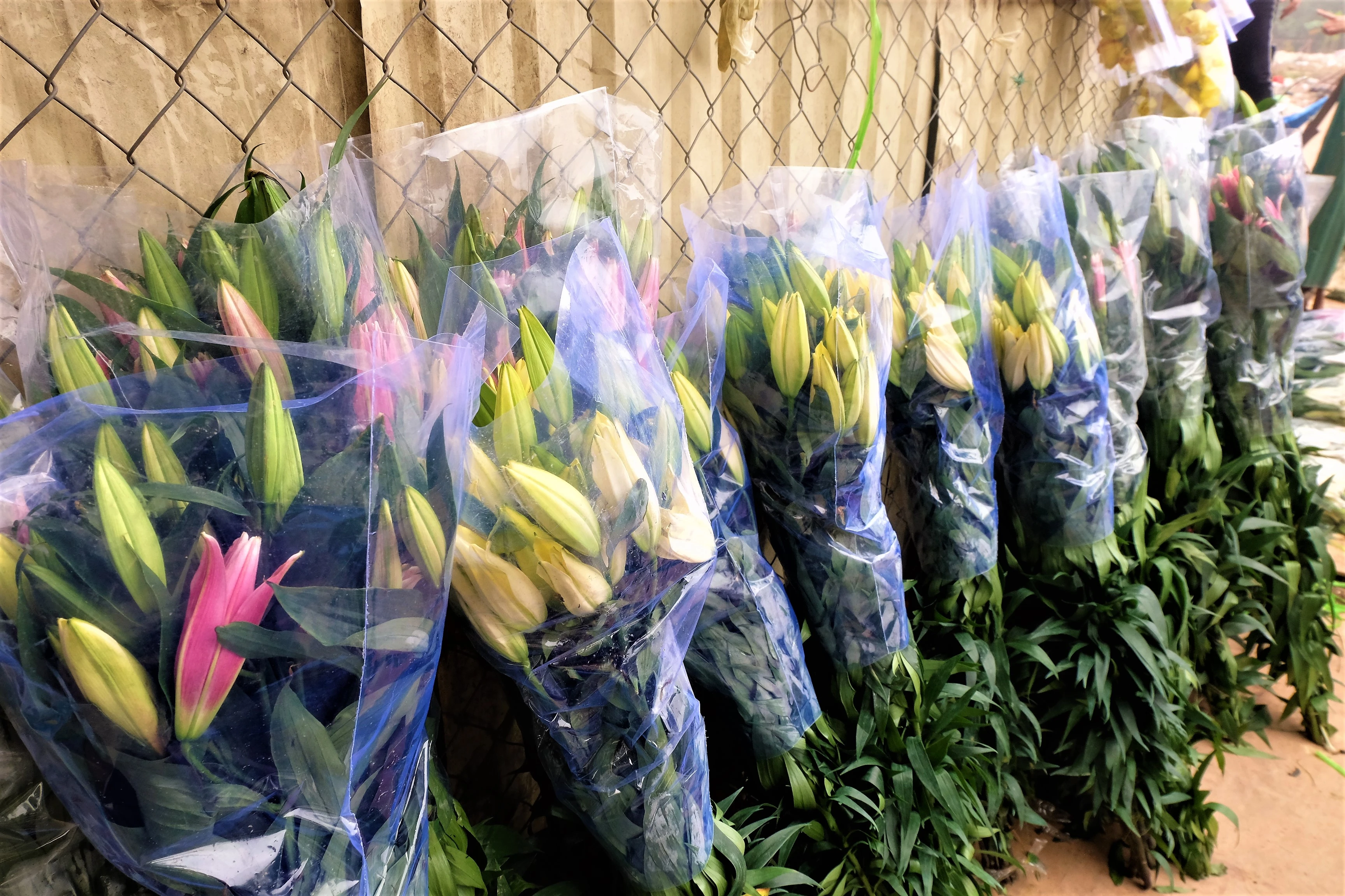 Ảnh: Hoa ly giá "bèo" xếp đầy đường phục vụ Rằm tháng Giêng