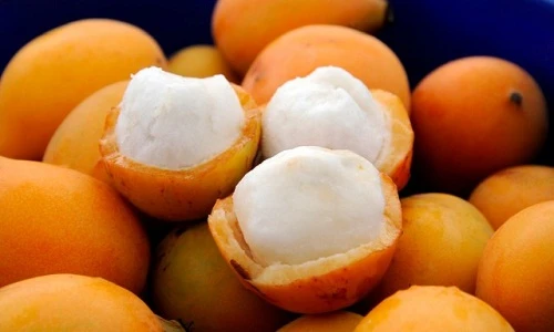 Khám phá nữ hoàng hoa quả nhiệt đới Achacha