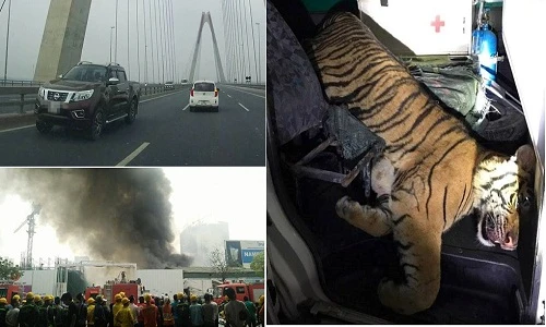 Những sự kiện nóng hầm hập dư luận tuần qua (3-9/4)