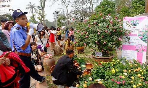 Ảnh: Sự thật phũ phàng ở Lễ hội hoa hồng Bulgari 