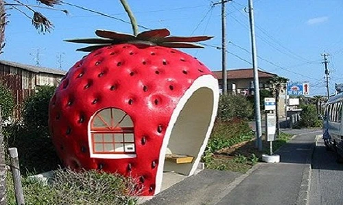 Ngỡ ngàng ngắm loạt biển quảng cáo độc ở bến xe bus