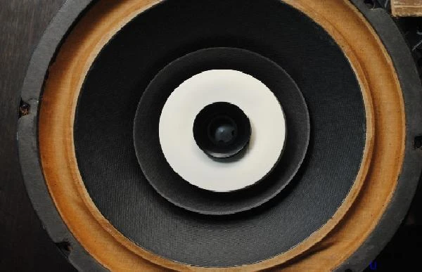 Độ “chảnh”, độc, nhiều tật ở loa toàn dải... say dân chơi