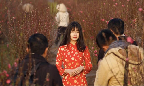 Ảnh đẹp: Người Hà Nội bên hoa đào Tết