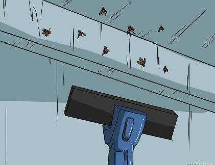 Dùng máy hút bụi.. diệt côn trùng gây bệnh