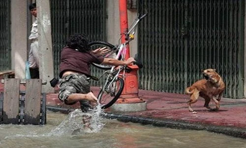 Choáng váng với muôn kiểu đi đường của "thánh lầy” Việt Nam