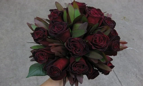 Bóc giá hoa nhập ngoại đắt đỏ ngày 8/3