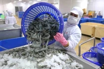 Thua lỗ 2 năm, Minh Phú lên kế hoạch có lãi và chia cổ tức 8% 
