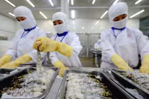 FMC lãi mỏng do trích dự phòng rủi ro thuế từ Mỹ