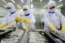 FMC lãi mỏng do trích dự phòng rủi ro thuế từ Mỹ