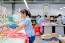 May Sông Hồng bị phạt và truy thu thuế gần 1,7 tỷ đồng