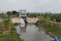 Phượng Thư – Long An thi công cứng hóa đê bao bờ Bắc K17