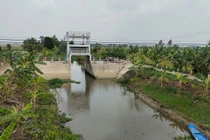 Phượng Thư – Long An thi công cứng hóa đê bao bờ Bắc K17