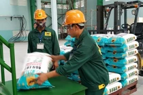 Vừa qua nửa năm, Phân bón Bình Điền đã vượt xa kế hoạch lợi nhuận năm